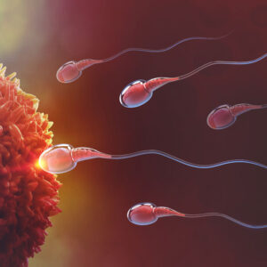 Integratori per la fertilità maschile: un supporto o una soluzione? Cosa c'è da sapere